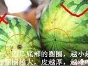 쵽ô