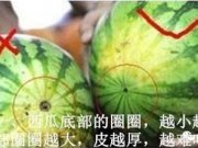 СNʿ쵽ô